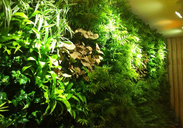 植物墻產品化，不一樣的生態(tài)綠化體驗