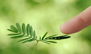 植物名字的來(lái)歷，你知道么~