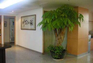 賓館適合租擺哪些植物？