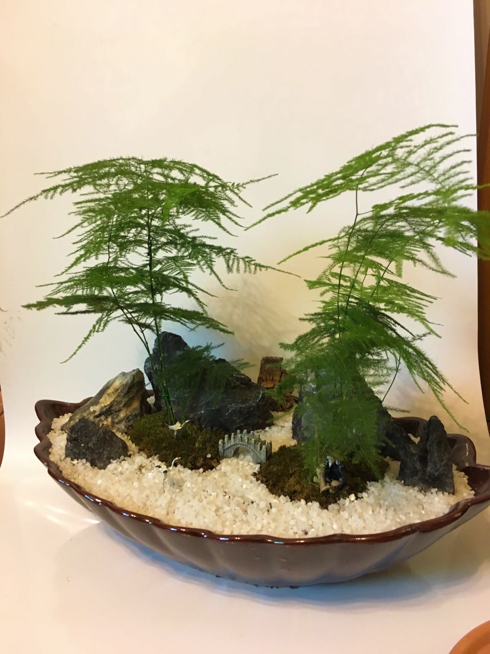 重慶室內(nèi)觀葉花木修剪技巧？