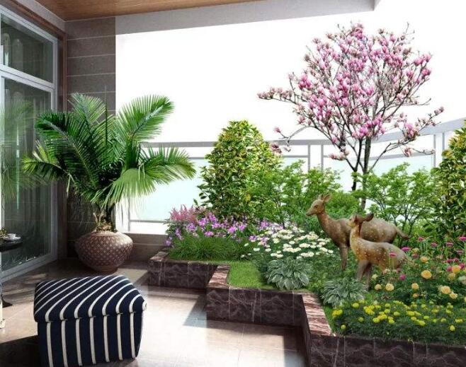 家庭適合租賃植物嗎？