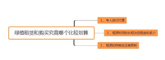 植物租賃與購(gòu)買(mǎi)對(duì)比.jpg